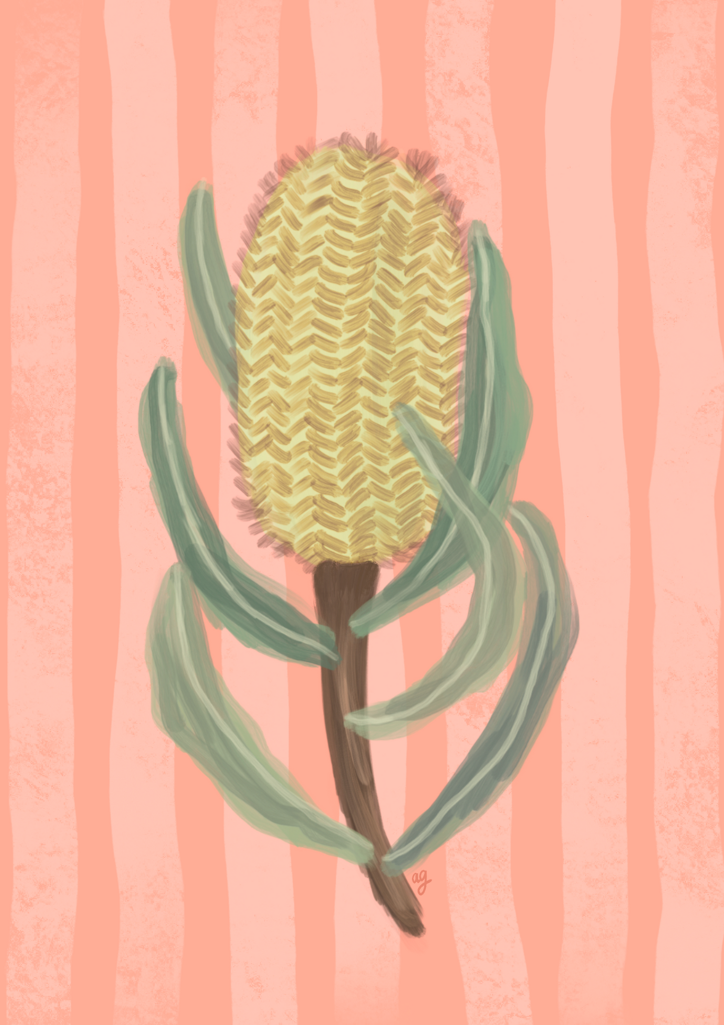 Affiche d'art « Banksia Stripe »