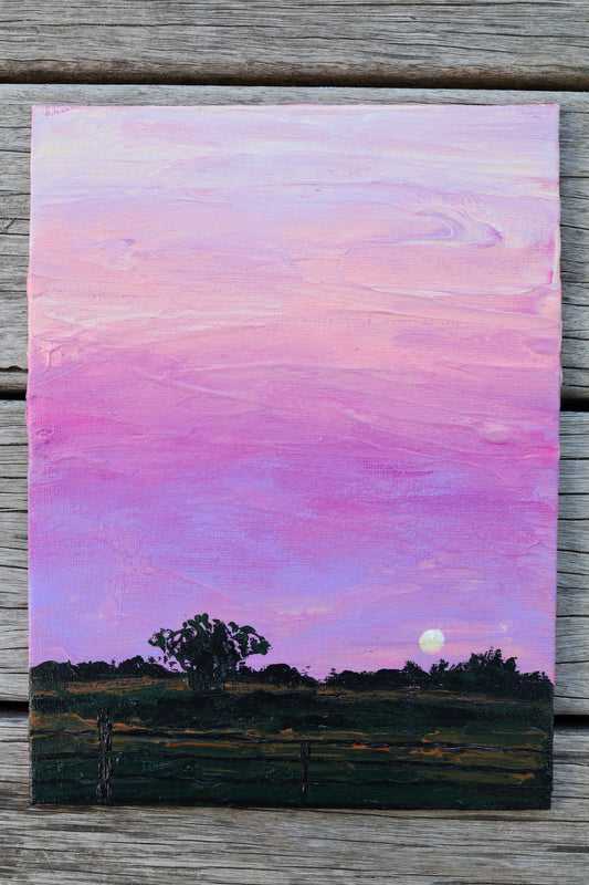 “Shepherds Delight” Sky Study - Original Artwork