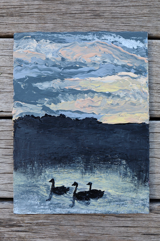 “Swans at Sunset” Sky Study - Original Artwork